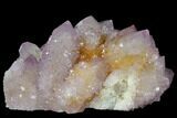Cactus Quartz (Amethyst) Crystal Cluster - South Africa #132518-1